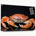 Vibrant wall art design featuring a detailed marine-life crab illustration on acrylic glass, displayed in a side view with decorative pins. Ideal for ocean-themed decor.