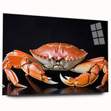Colorful marine life crab design displayed on a sleek acrylic glass wall art collection, showcasing detailed textures and vibrant hues, ideal for coastal decor.