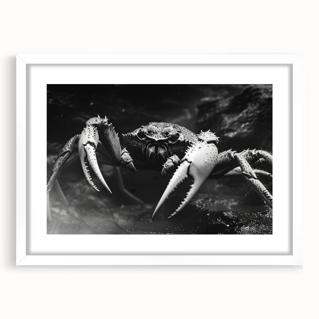 Framed wall art collection showcasing a vibrant crab design, featuring a white mat and sleek frame, perfect for marine life enthusiasts and coastal decor.