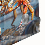 Close-up of a vibrant marine life wall art design showcasing a detailed crab illustration on acrylic glass, perfect for ocean-themed decor.