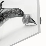 Close-up of a vibrant acrylic wall art piece featuring a dolphin design, showcasing intricate marine life details and vivid colors, perfect for ocean-themed decor.