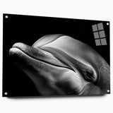 Acrylic wall art showcasing a vibrant dolphin design in a marine life theme, viewed from the side with visible mounting pins, ideal for ocean-themed decor.