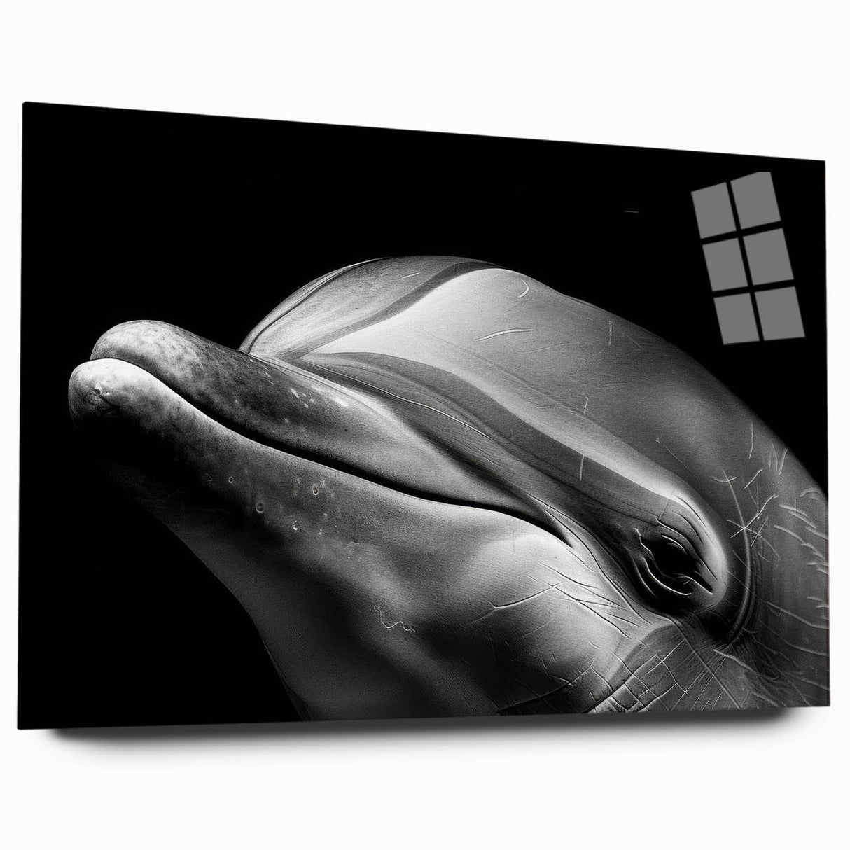 Acrylic wall art collection showcasing a vibrant dolphin design, highlighting marine life. The piece features a sleek side view and a glossy finish, perfect for ocean-themed decor.