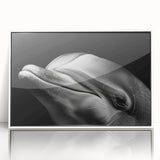 Framed wall art featuring a vibrant dolphin design in marine life theme, displayed in a white frame, ideal for coastal decor and ocean lovers.
