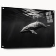 Stylish wall art featuring a side view of a dolphin design on acrylic glass, showcasing vibrant colors and intricate details, perfect for marine life enthusiasts.