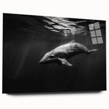 Acrylic glass wall art featuring a vibrant dolphin design, showcasing marine life in a dynamic side view, perfect for ocean-themed decor.