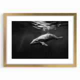 Framed wall art featuring a vibrant dolphin design in shades of blue and gold, elegantly matted with a luxurious gold frame, perfect for marine life decor enthusiasts.