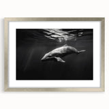 Framed wall art showcasing a dolphin design in vibrant colors, set in a silver frame with a white mat, perfect for marine life enthusiasts and home decor.