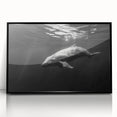 Framed acrylic wall art featuring a vibrant dolphin design, set against a sleek black frame, perfect for marine life enthusiasts and modern decor.