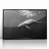 Framed acrylic wall art featuring a vibrant dolphin design, set against a sleek black frame, perfect for marine life enthusiasts and modern decor.