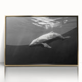 Framed wall art featuring a vibrant dolphin design, showcasing intricate marine life details with a gold-acrylic finish. Perfect for ocean-themed decor.