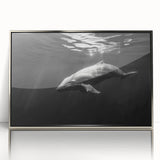 Framed acrylic wall art featuring a vibrant dolphin design, showcasing intricate marine life details in a silver frame, perfect for ocean-themed decor.