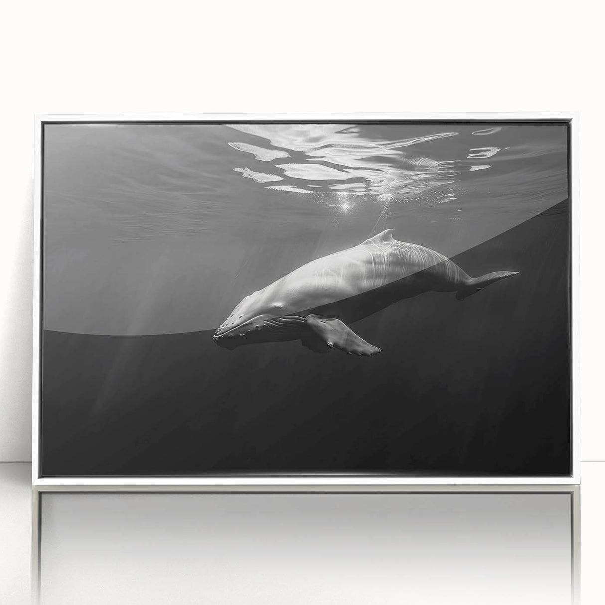 Framed acrylic wall art depicting a vibrant dolphin design, featuring a white frame and a clear front view, ideal for marine life enthusiasts and home decor.