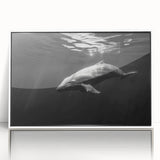 Framed acrylic wall art depicting a vibrant dolphin design, featuring a white frame and a clear front view, ideal for marine life enthusiasts and home decor.