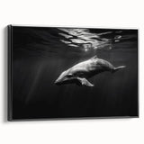 Framed canvas wall art featuring a vibrant dolphin design in shades of blue and green, set against a sleek black frame, perfect for marine life enthusiasts.