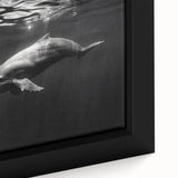 Framed wall art close-up featuring a vibrant dolphin design, showcasing intricate marine life details and deep blue hues, perfect for ocean-themed decor.