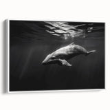 Framed canvas wall art showcasing a vibrant dolphin design, featuring shades of blue and white, ideal for marine-themed decor. Perfect for ocean lovers.