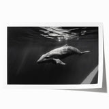 Vibrant wall art print featuring a playful dolphin design, ideal for marine life enthusiasts, showcasing colorful underwater elements and a joyful ocean theme.