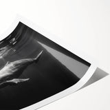 Dolphin-themed wall art print showcasing vibrant marine life colors, rolled for easy display, perfect for ocean lovers and home decor enthusiasts.