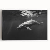 Vibrant stretched canvas wall art featuring a dolphin design, showcasing intricate marine life details in blue and aqua tones, perfect for ocean-themed decor.