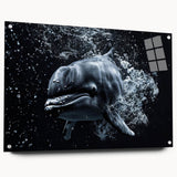 Acrylic glass wall art collection showcasing a vibrant dolphin design in a marine life theme, featuring a side view with decorative pins for easy mounting.