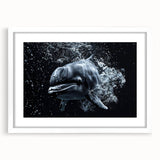 White-framed wall art collection featuring a vibrant dolphin design, perfect for marine life enthusiasts, adding a coastal touch to home decor.