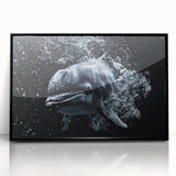 Framed wall art collection showcasing a vibrant dolphin design on black acrylic, perfect for marine life enthusiasts, adding a touch of oceanic elegance to any decor.