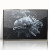 Framed wall art featuring a detailed dolphin design in vibrant colors, set in a sleek silver frame, perfect for marine-themed decor and ocean lovers.