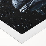 Colorful rolled canvas art showcasing a vibrant dolphin design, part of a marine life collection, perfect for ocean-themed decor. Ideal for enhancing living spaces.