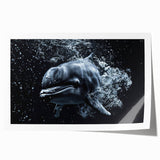 Colorful dolphin-themed wall art print showcasing vibrant marine life design, perfect for coastal decor; rolled and ready for framing or display.