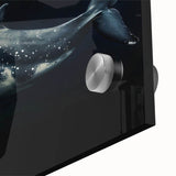 Close-up of vibrant dolphin-themed wall art collection, showcasing intricate marine life designs on acrylic glass, perfect for ocean-inspired decor.