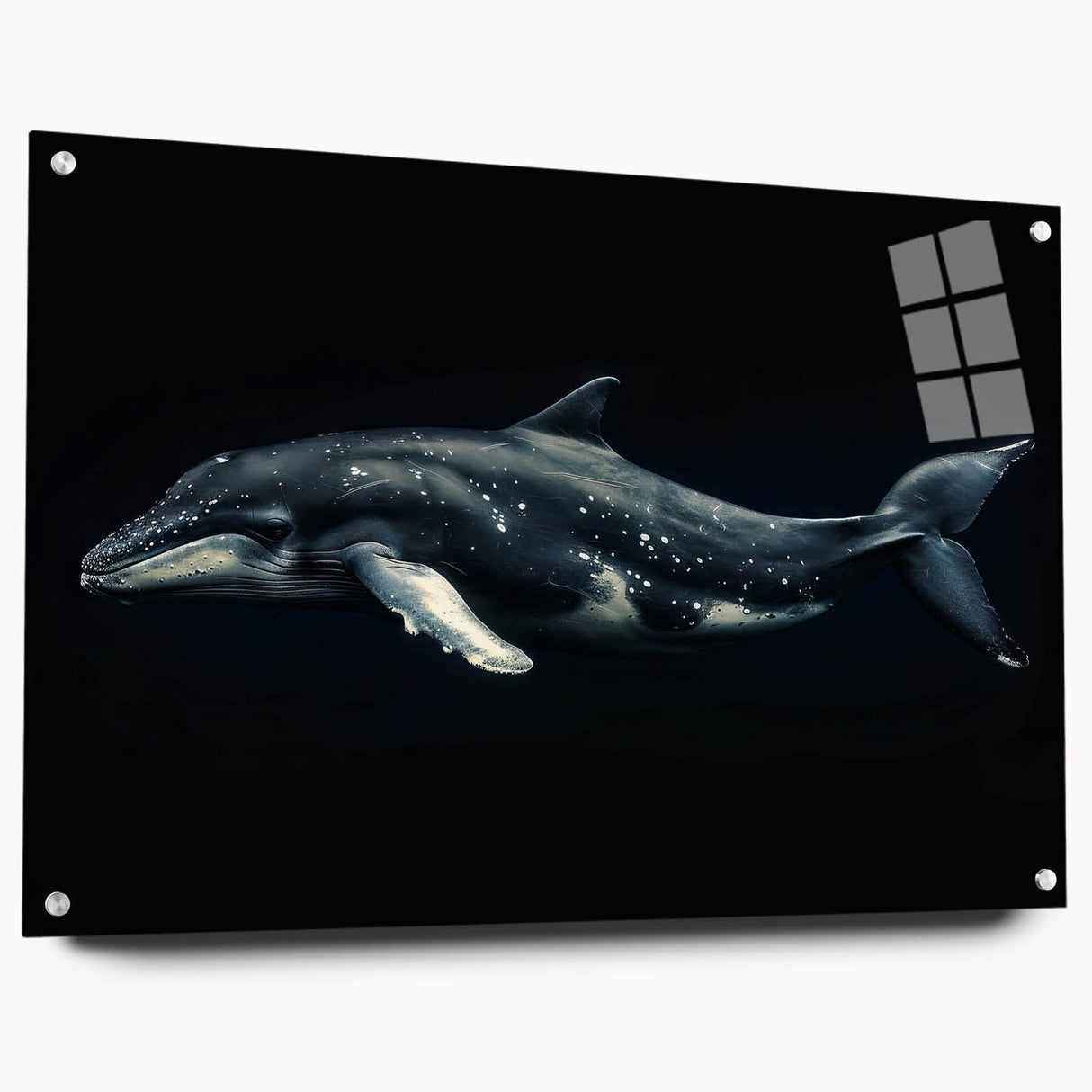 Vibrant marine life wall art collection showcasing a dolphin design on acrylic glass, displayed from a side view with decorative pins, perfect for ocean-themed decor.