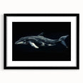 Framed wall art collection showcasing a vibrant dolphin design, set against a black mat, perfect for marine life enthusiasts and nautical-themed decor.