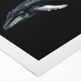 Vibrant rolled canvas wall art featuring a detailed dolphin design, showcasing marine life in vivid colors, perfect for ocean-themed decor.