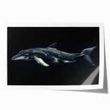 Vibrant rolled print of marine life featuring a playful dolphin design, perfect for ocean-themed decor, showcasing rich colors and intricate details. Ideal for adding a touch of nature to any wall space.