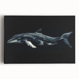 Colorful dolphin-themed wall art collection printed on stretched canvas, showcasing marine life in vibrant hues, ideal for ocean-inspired home decor.