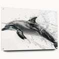 Dolphin-themed wall art collection displayed in acrylic glass, showcasing vibrant marine life colors and intricate details, perfect for ocean-inspired decor.