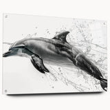 Dolphin-themed wall art collection displayed in acrylic glass, showcasing vibrant marine life colors and intricate details, perfect for ocean-inspired decor.