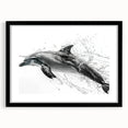 Framed marine life wall art collection featuring a dolphin design with a black mat, ideal for coastal-themed decor, adding a touch of ocean elegance to any room.