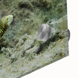 Close-up of a vibrant marine life wall art design featuring colorful eels and aquatic details, printed on acrylic glass for a stunning finish, perfect for ocean-themed decor.