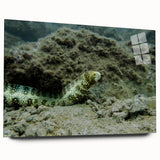 Acrylic glass wall art showcasing a vibrant marine life eel design, viewed from the side, perfect for adding a contemporary touch to ocean-themed decor.