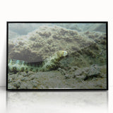 Framed acrylic wall art depicting a vibrant marine life eel design, showcasing intricate details in blue and green hues, perfect for ocean-themed decor.