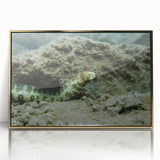 Framed wall art featuring a vibrant marine life design with colorful fish and coral, set in a sleek gold frame, perfect for ocean-themed decor.