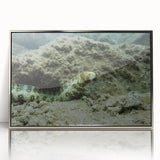 Framed acrylic wall art featuring a detailed marine life eel design in silver, showcasing vibrant colors and intricate textures, perfect for ocean-themed decor.