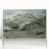 Framed wall art featuring a vibrant marine life eel design, set against a white background, showcasing intricate details and colors that enhance home decor.