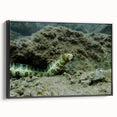 Framed canvas wall art showcasing an elegant marine life eel design, featuring vibrant colors and a sleek black frame, perfect for aquatic-themed decor.