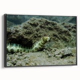 Framed canvas wall art showcasing an elegant marine life eel design, featuring vibrant colors and a sleek black frame, perfect for aquatic-themed decor.