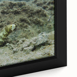 Close-up of a framed canvas wall art piece showcasing intricate marine life designs, featuring vibrant colors and detailed textures, perfect for ocean-themed decor.