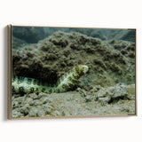 Framed wall art featuring a vibrant marine life eel design, showcasing intricate details and rich colors, set against a gold frame, perfect for ocean-themed decor.