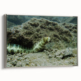 Framed canvas wall art featuring marine life design with vibrant colors and intricate details, showcased in a sleek silver frame, ideal for ocean-themed decor.